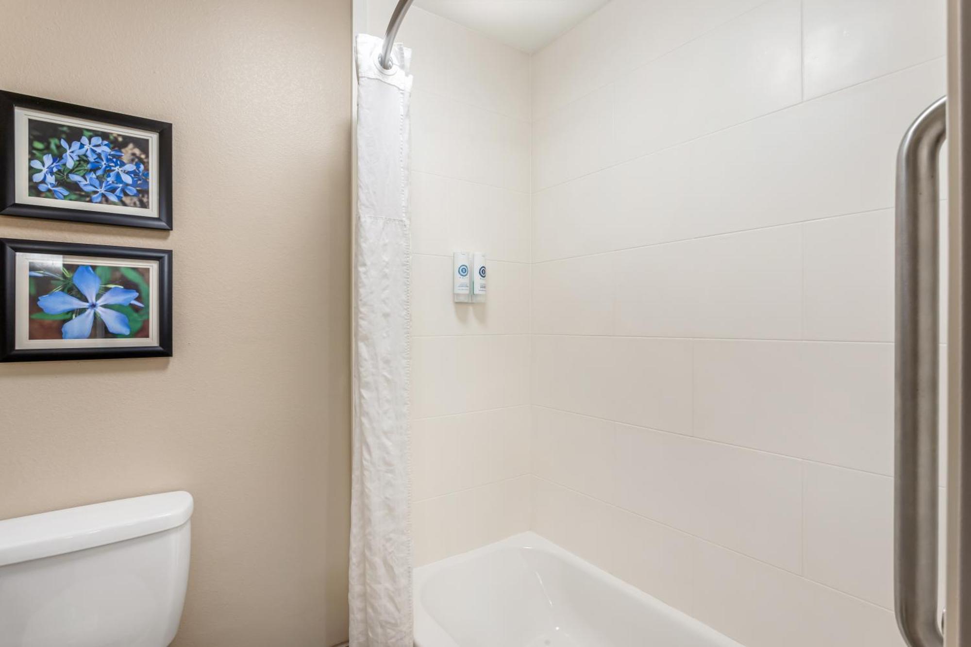 Comfort Inn & Suites קונווי מראה חיצוני תמונה
