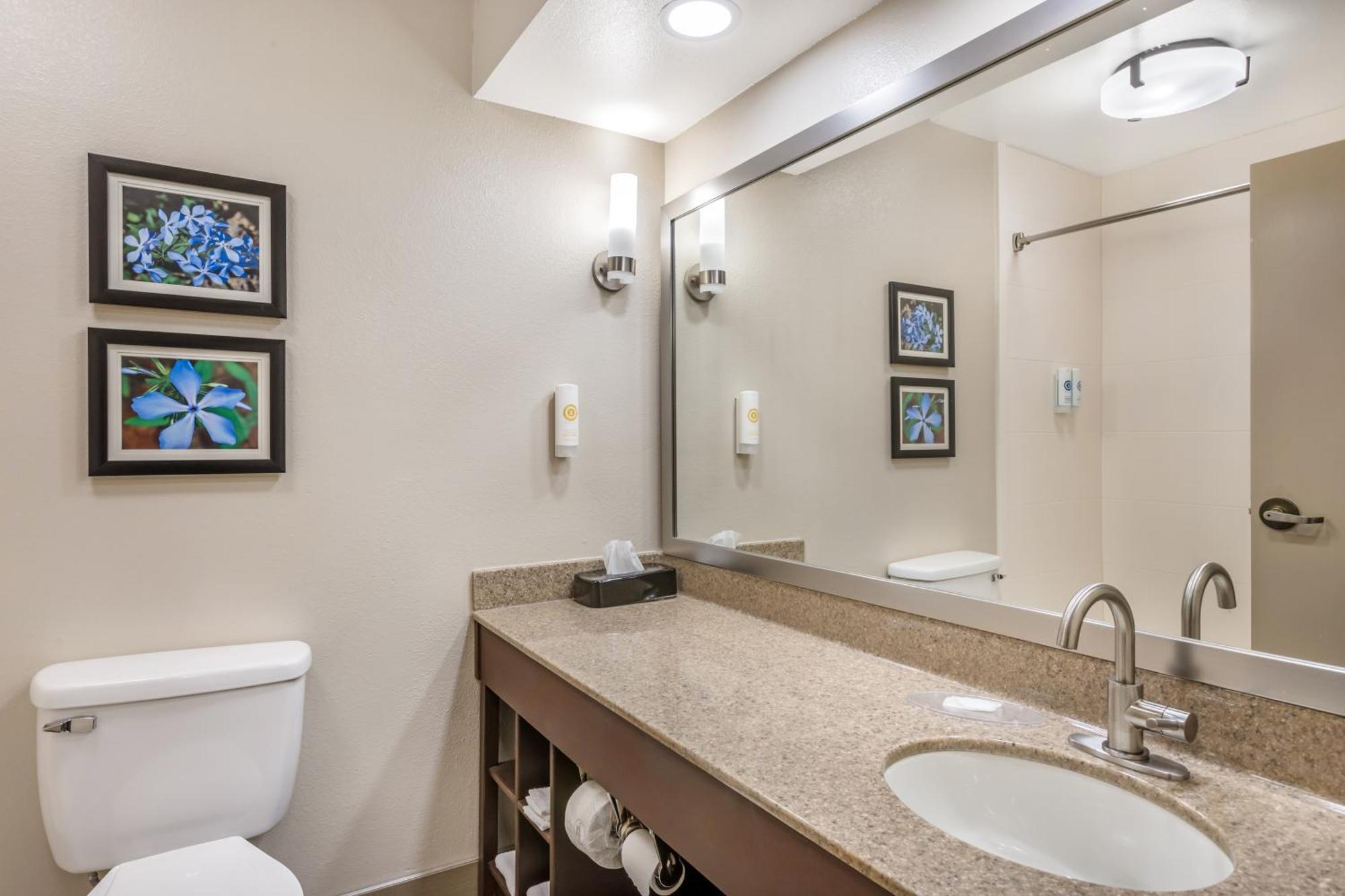 Comfort Inn & Suites קונווי מראה חיצוני תמונה