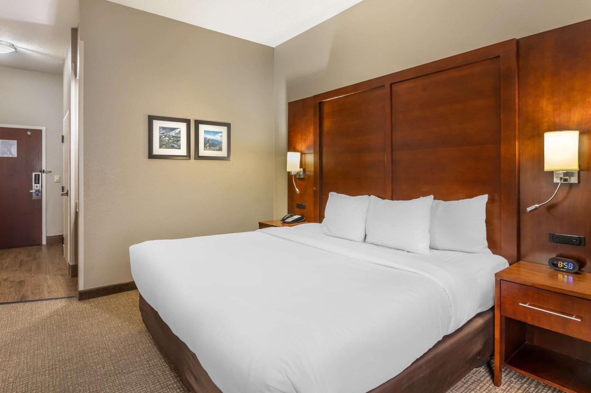 Comfort Inn & Suites קונווי מראה חיצוני תמונה