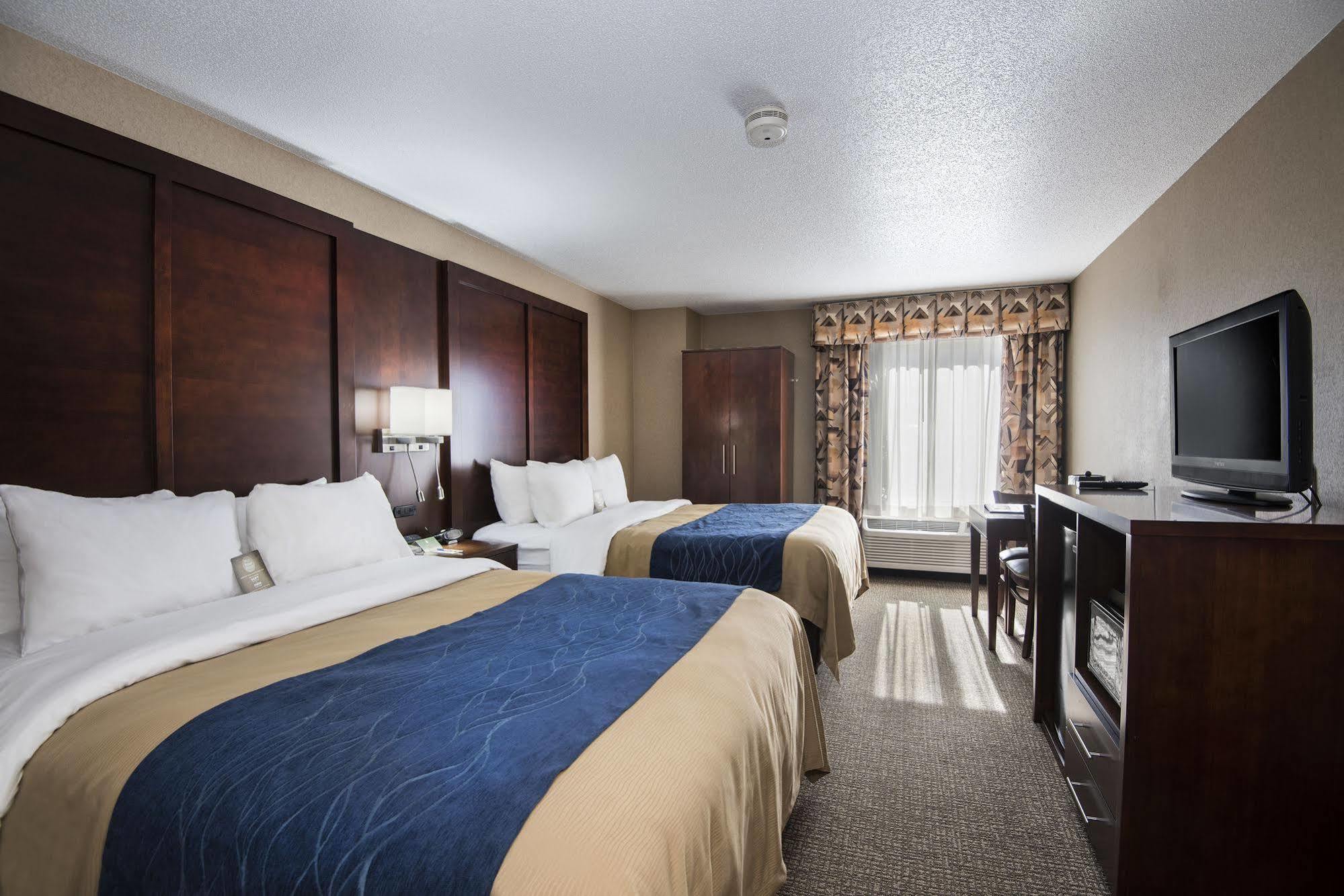 Comfort Inn & Suites קונווי מראה חיצוני תמונה