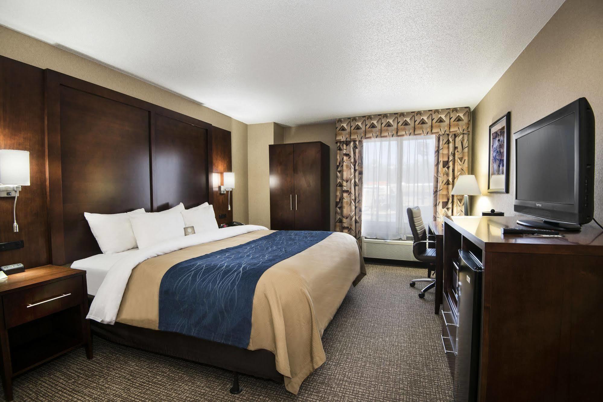 Comfort Inn & Suites קונווי מראה חיצוני תמונה