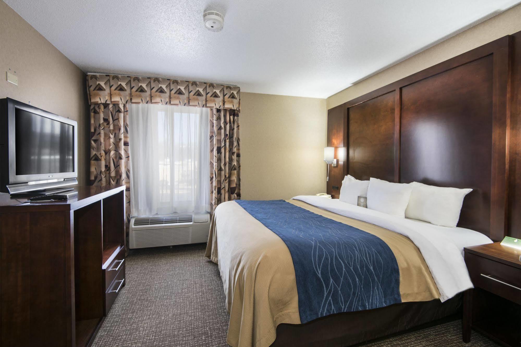 Comfort Inn & Suites קונווי מראה חיצוני תמונה